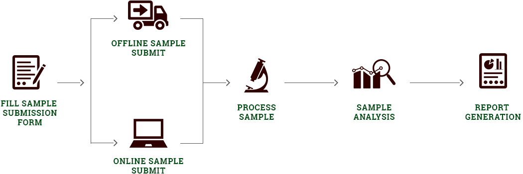Our Process Diagram
